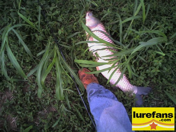 Ƭ-0458.JPG
