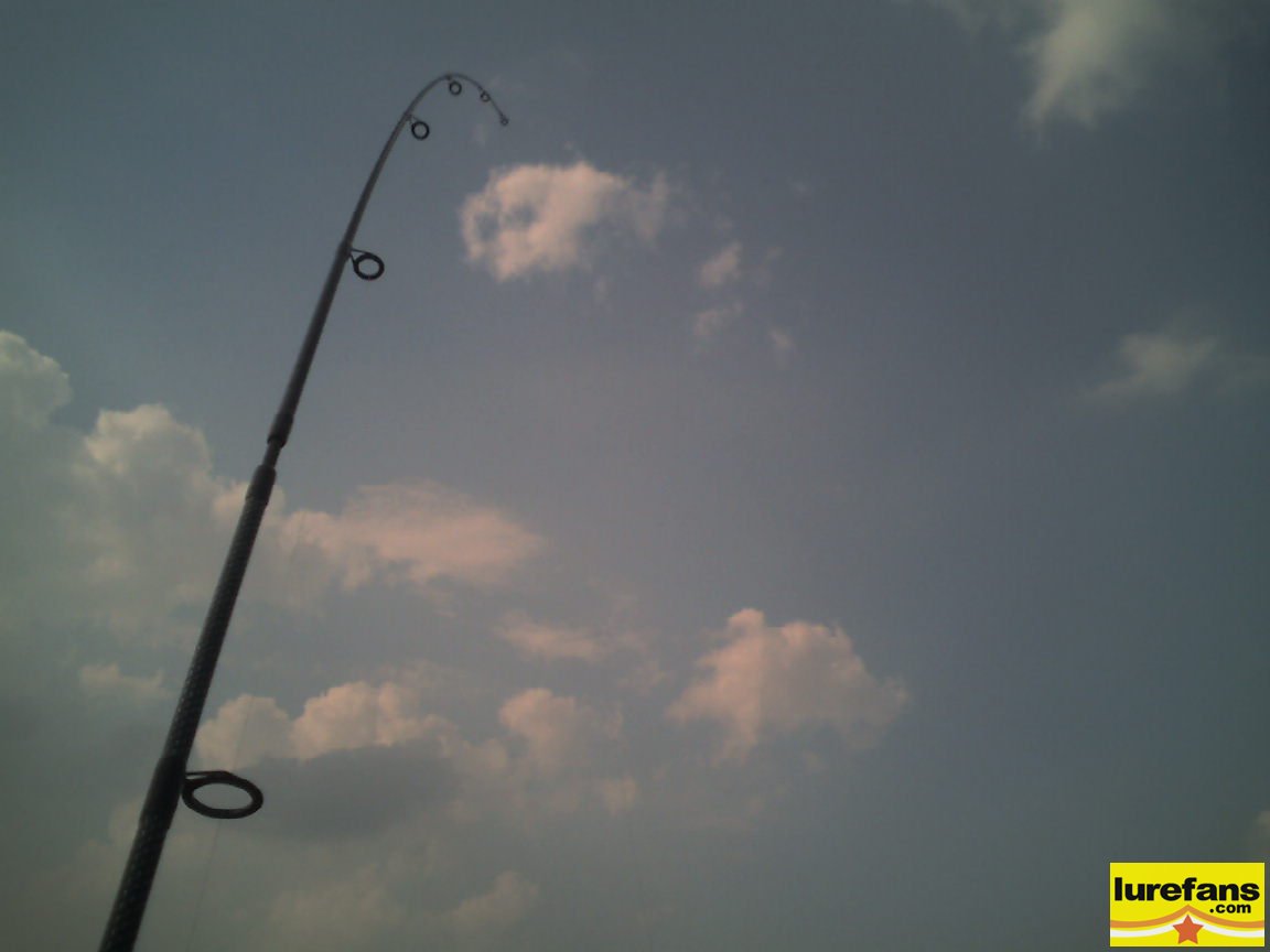 Ƭ-0455.jpg