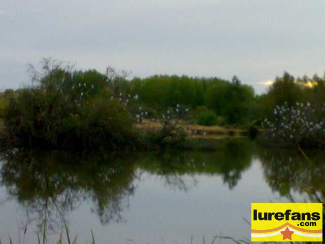 20080922454-С.jpg