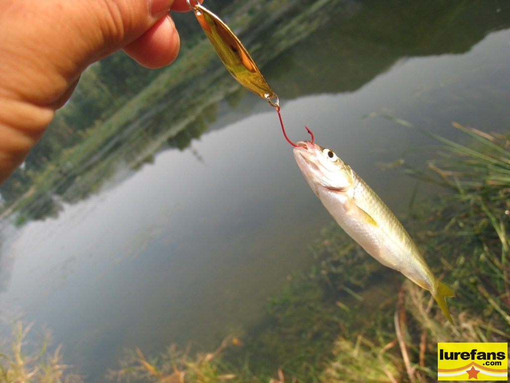 IMG_0703.jpg