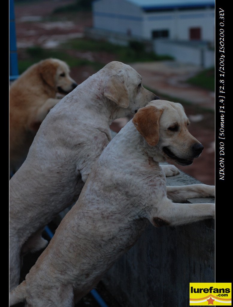 DSC_0764.jpg