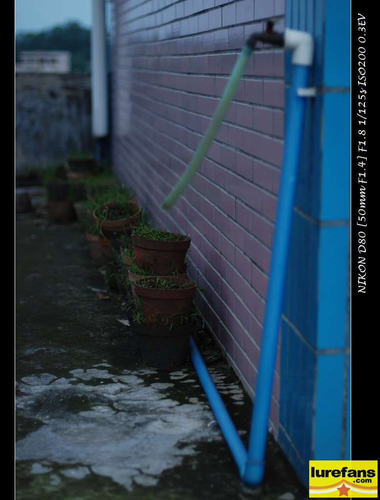DSC_0795.jpg