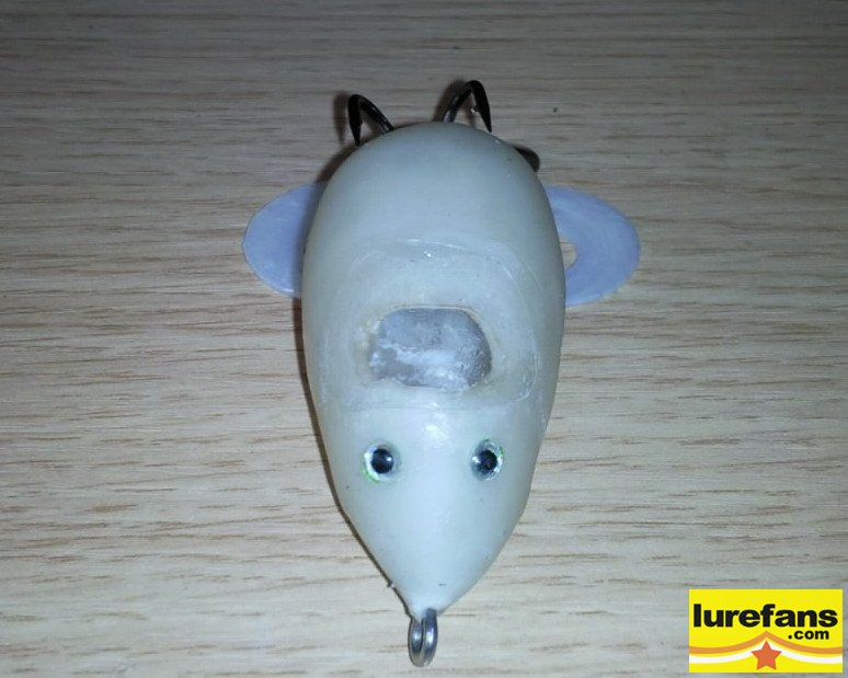 Ƭ0117.JPG
