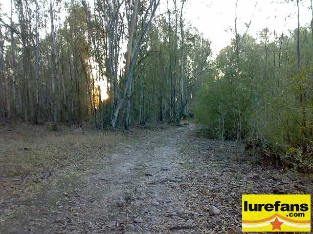 20081002482-С.jpg
