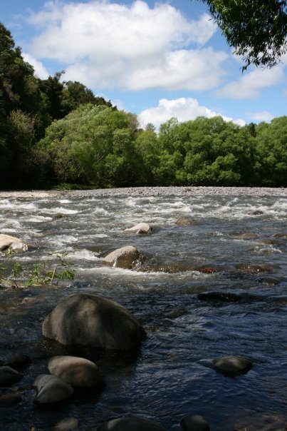 n592092432_1593876_2605.jpg