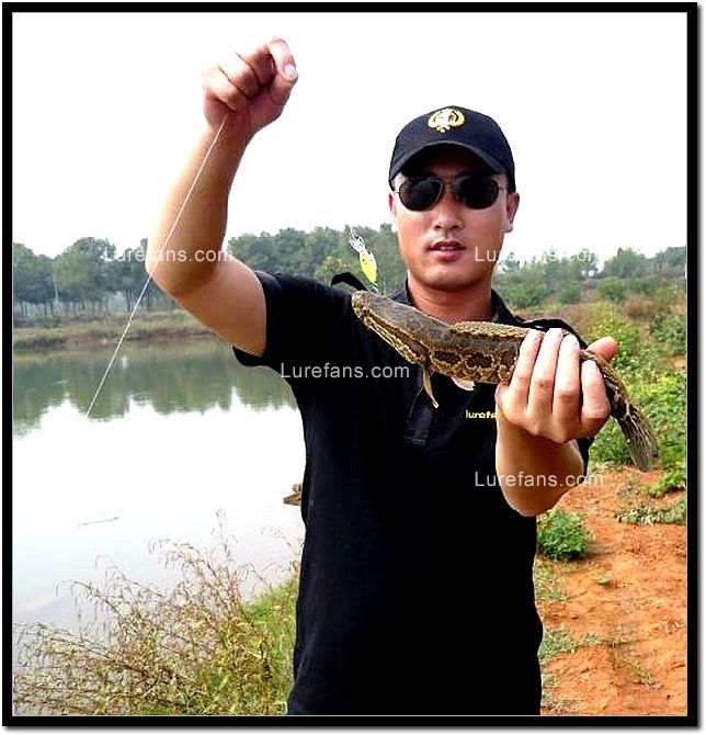 20081030_d6869587d0599d88df86SjreGd3fL2NB.jpg