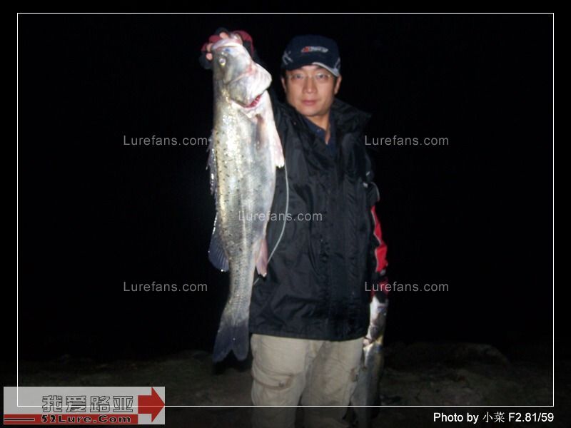 20081115_5fba57bdd28ee2d8d6072jlBoWWxPgGo.jpg