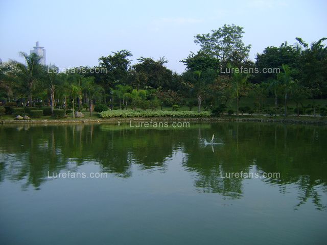 DSC00443.JPG