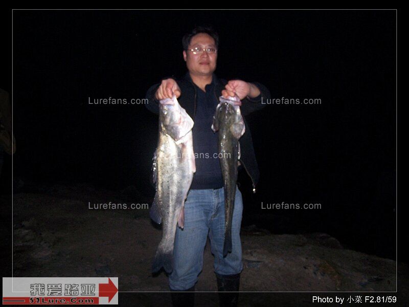 20081115_29b422c26847ed85cbabdP7ZSXD77B40.jpg