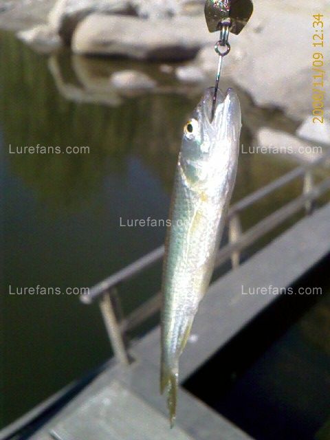 IMAGE_00010.jpg