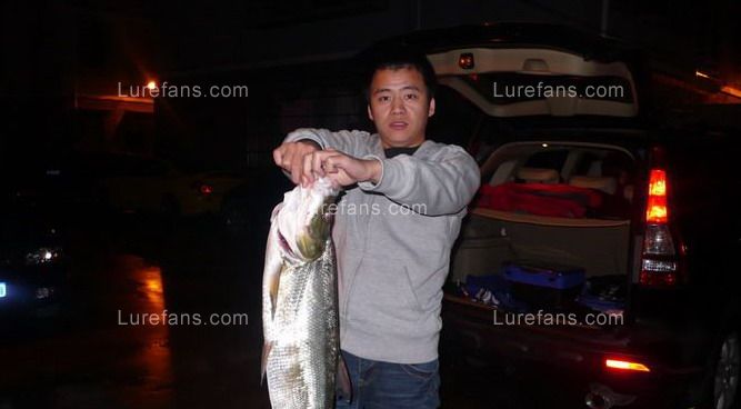 20081124_d7a1124d836fe8c12361TB5YZGZZurBU.JPG