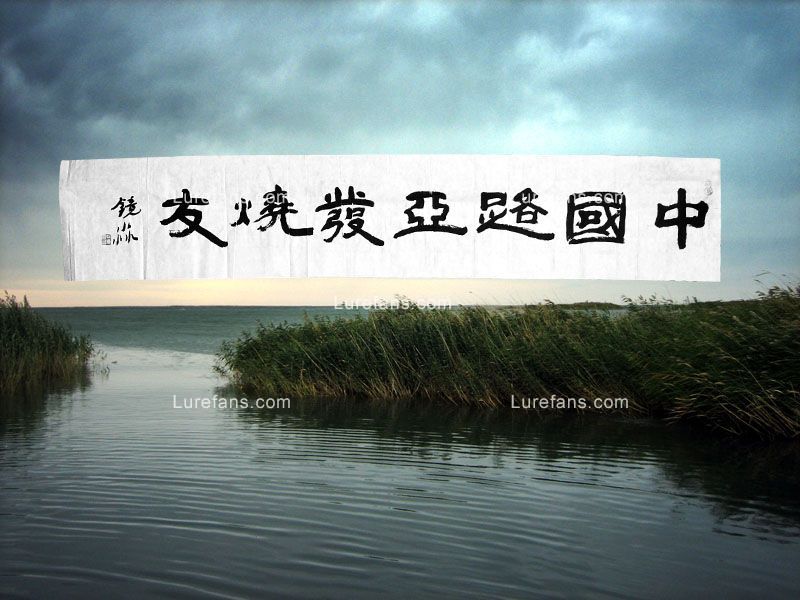 20081202_d79c47ad3cddb20ec019JtXoGymTf717.jpg