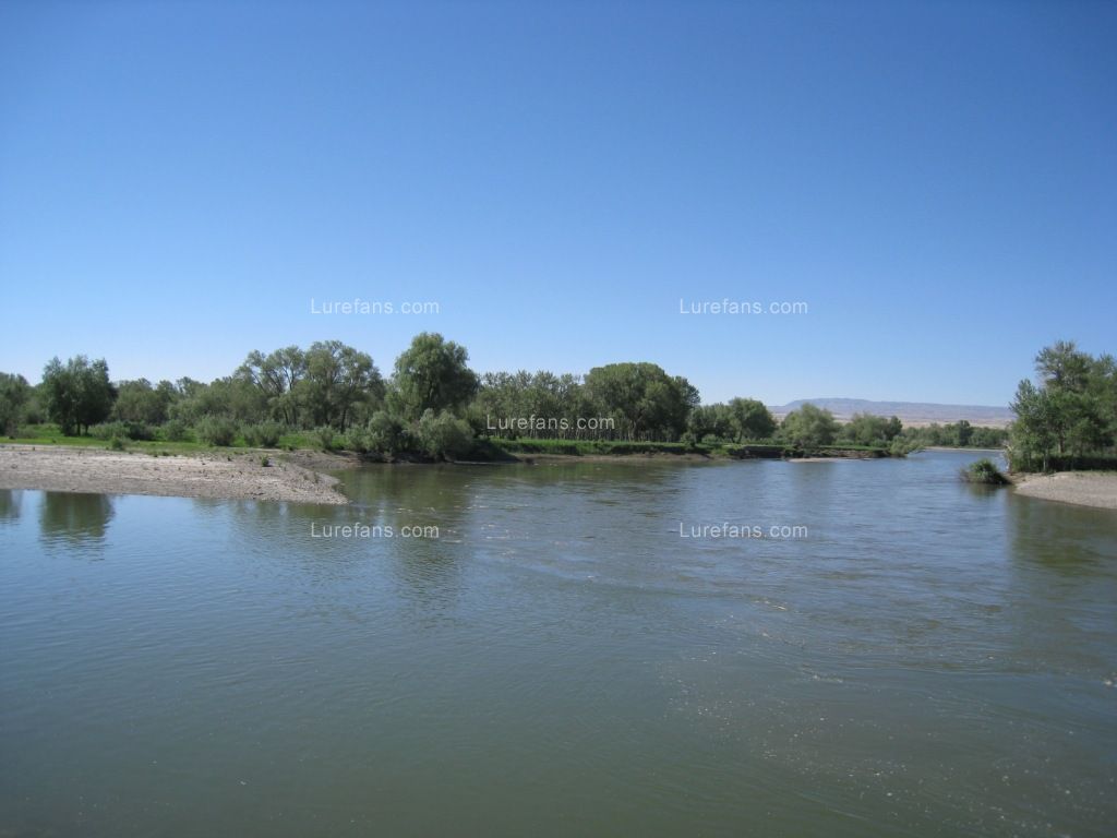 IMG_0490.JPG