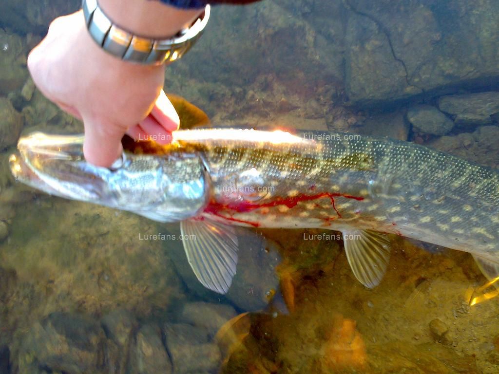 20081221710.jpg