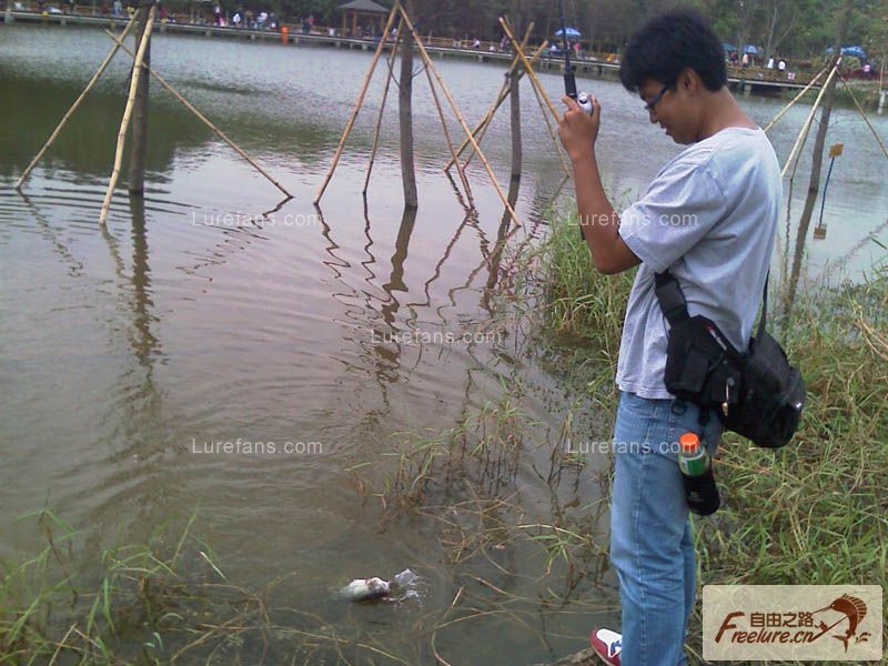 20090216_a4555a32c579d5b8fb2edgl1YTPG4LIK.jpg