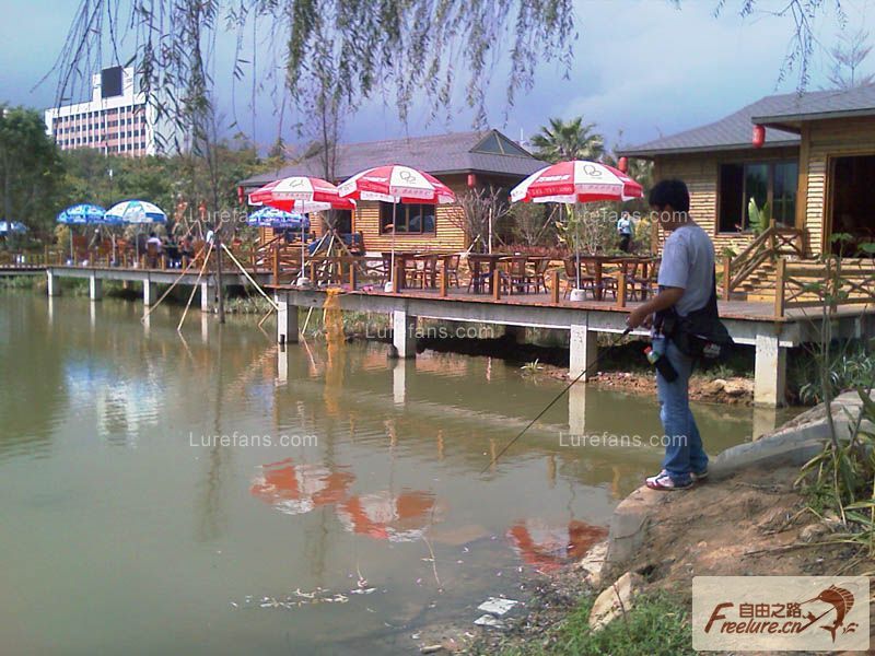 20090216_c1f3be14779f2abf4debQ5ZEajUTnYGH.jpg