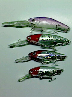 IMG0144A.jpg