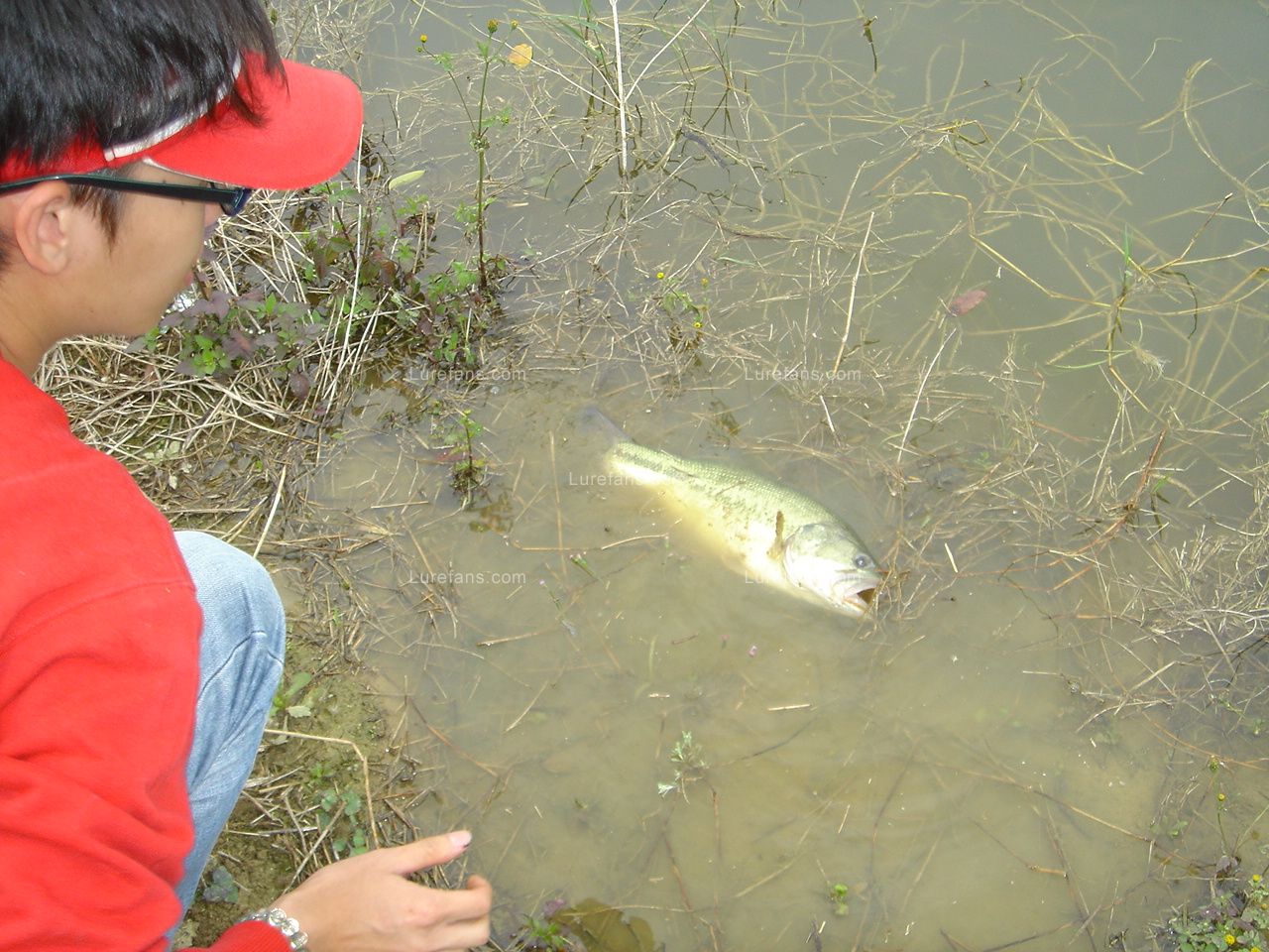 DSC08065.JPG