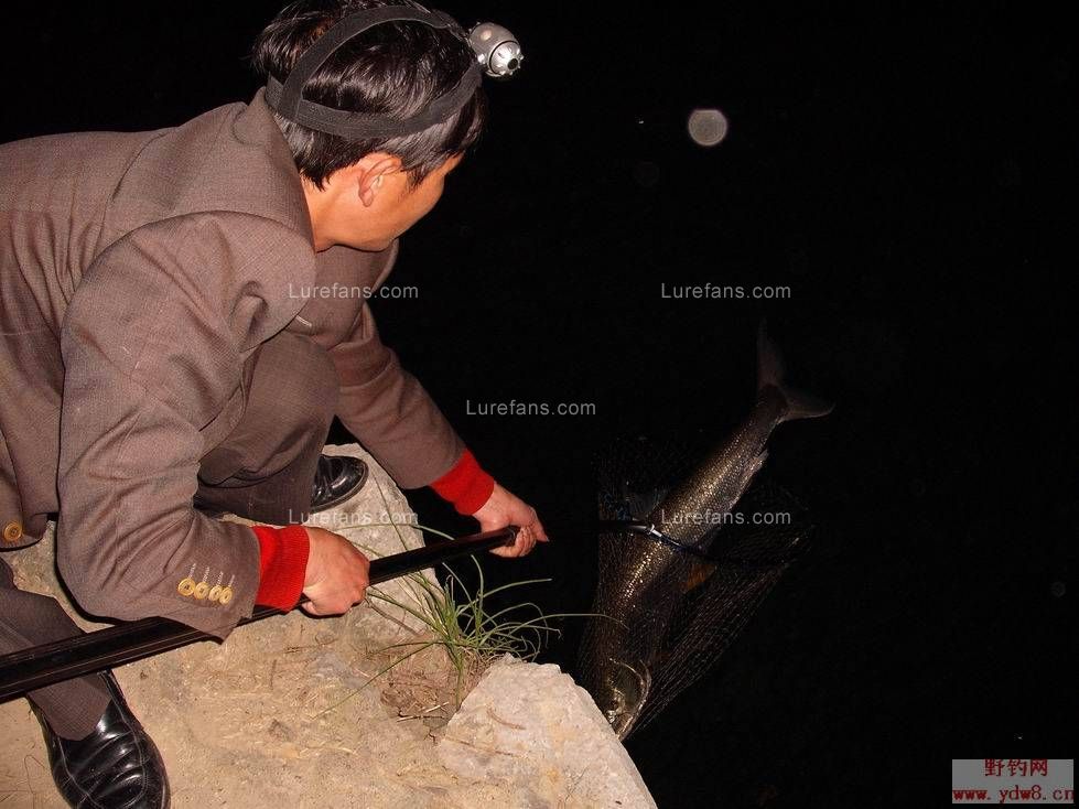 20090411_7b1deddf7d466147facd8wYrgR685bYB.jpg