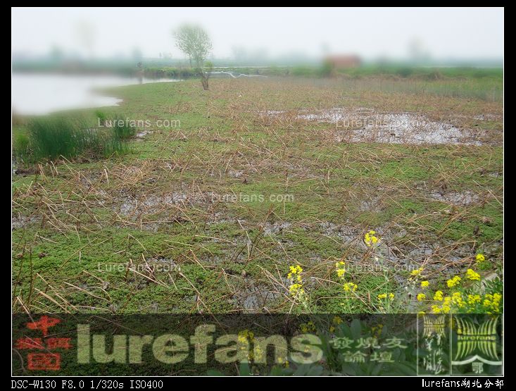 A09.JPG