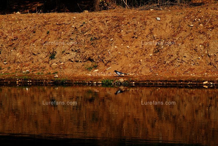 DSC_0070.jpg