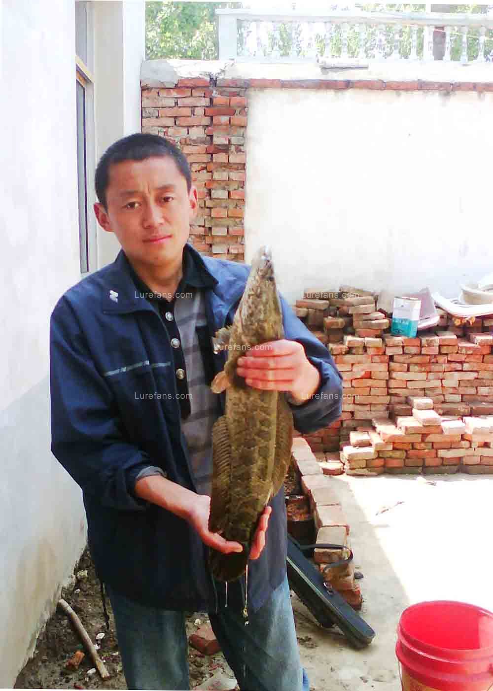 IMG0063A.jpg