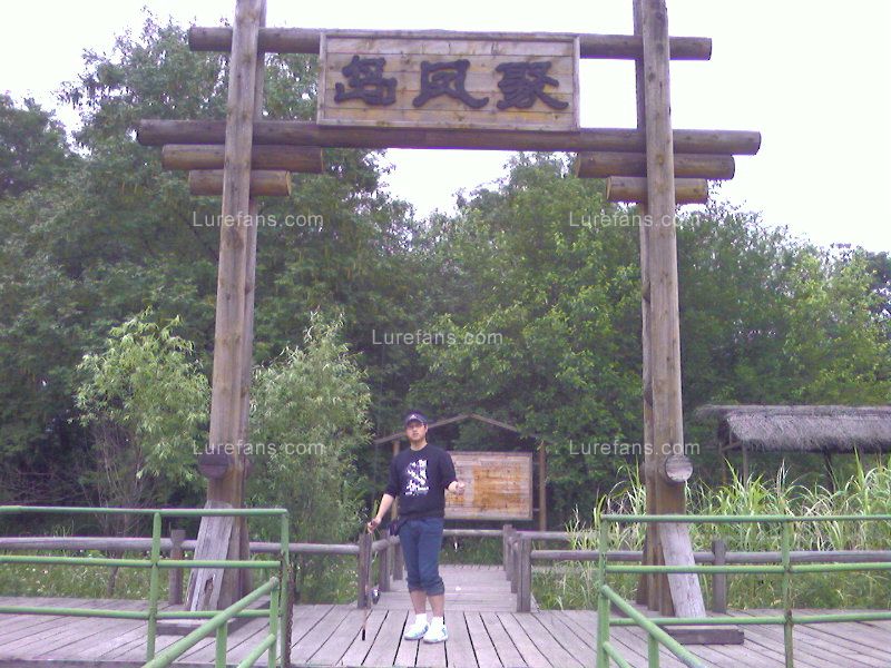 Ƭ-0310.jpg