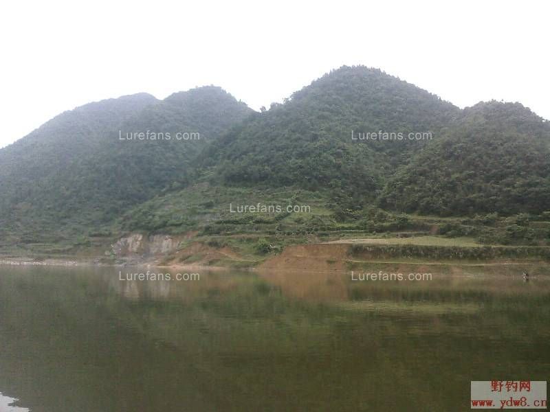 20090525_19a90dacd4fb3b5b31bcwob0e9H0wyeh.jpg