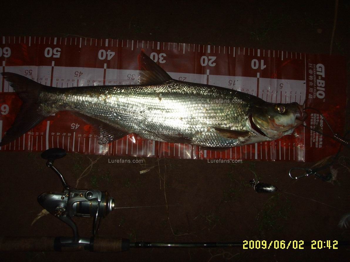 SSL12522.JPG
