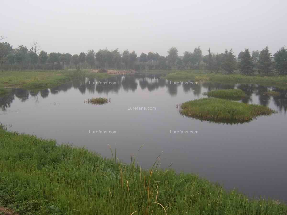 S4300004.JPG