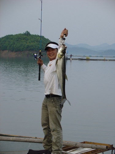 DSC00623.jpg