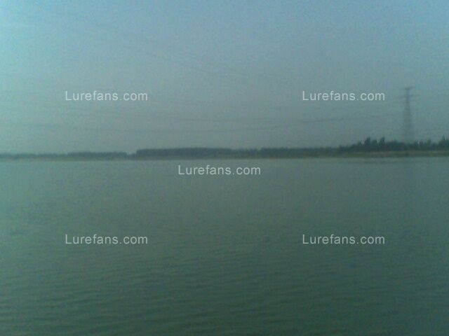 IMG0198A.jpg