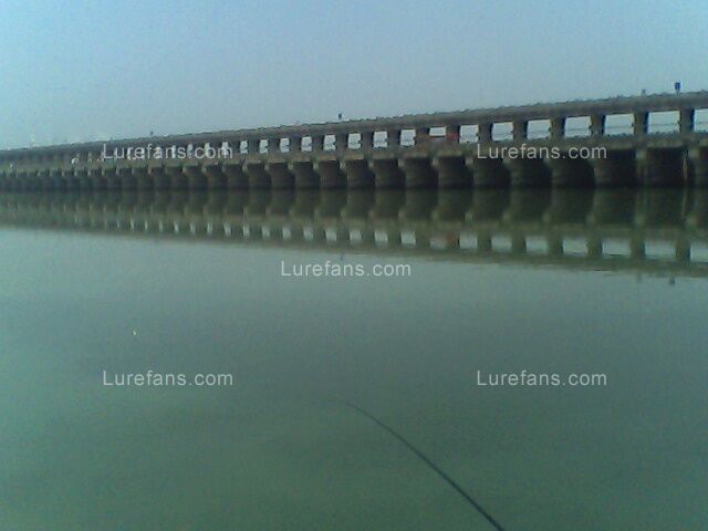 IMG0203A.jpg