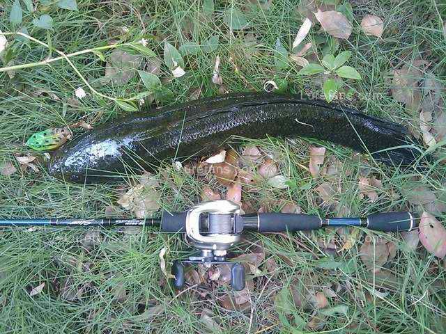 С 200906261606_101.jpg