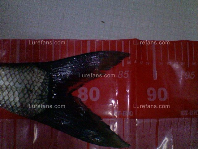 ҵƬ00224.jpg