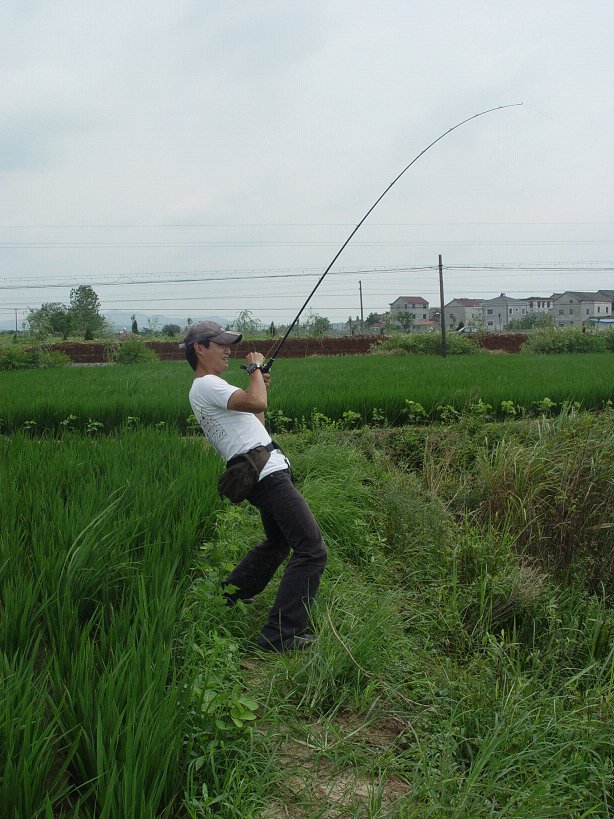DSC02547.JPG