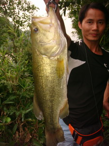 DSC04664.JPG