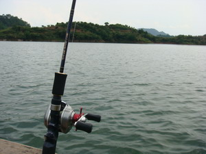 DSC04718.JPG