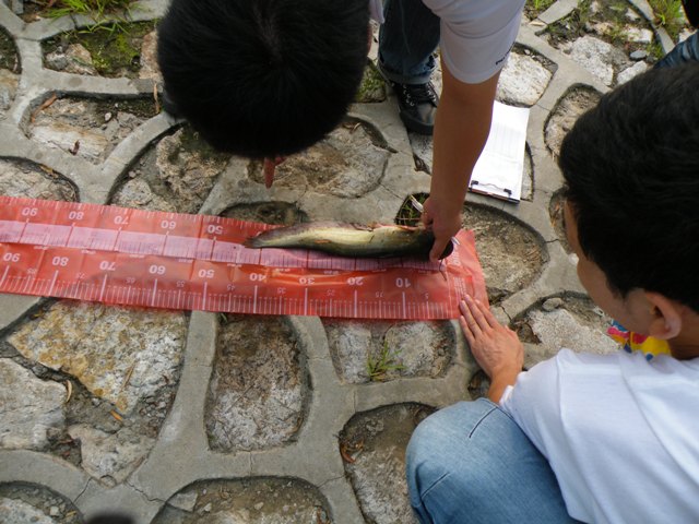 DSCF3741.jpg