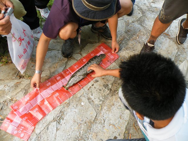 DSCF3746.jpg