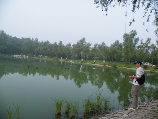 DSCF3716.jpg