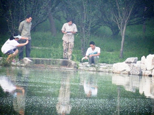 DSCF3731.jpg