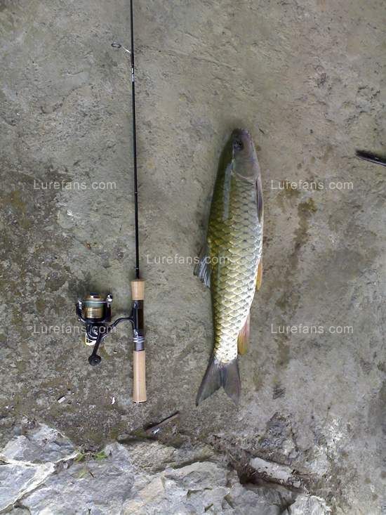 20090906353.jpg