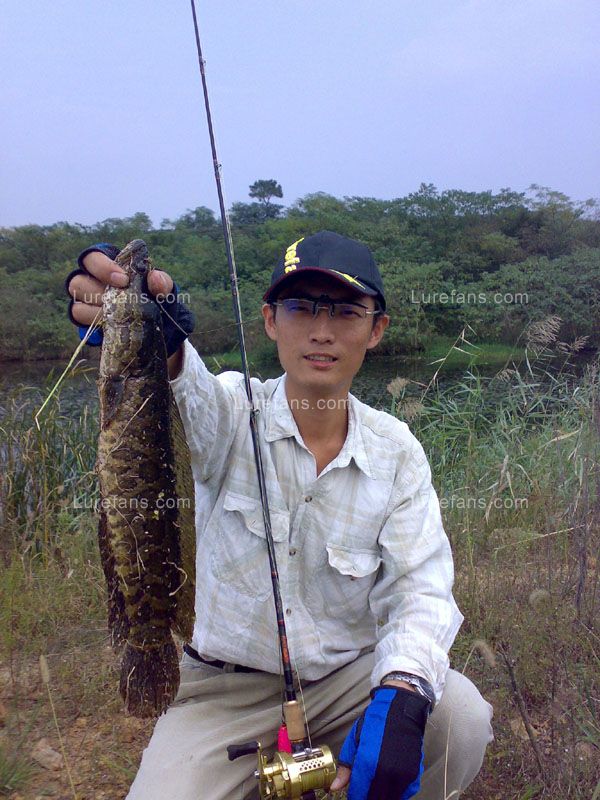 20091008138-1.jpg