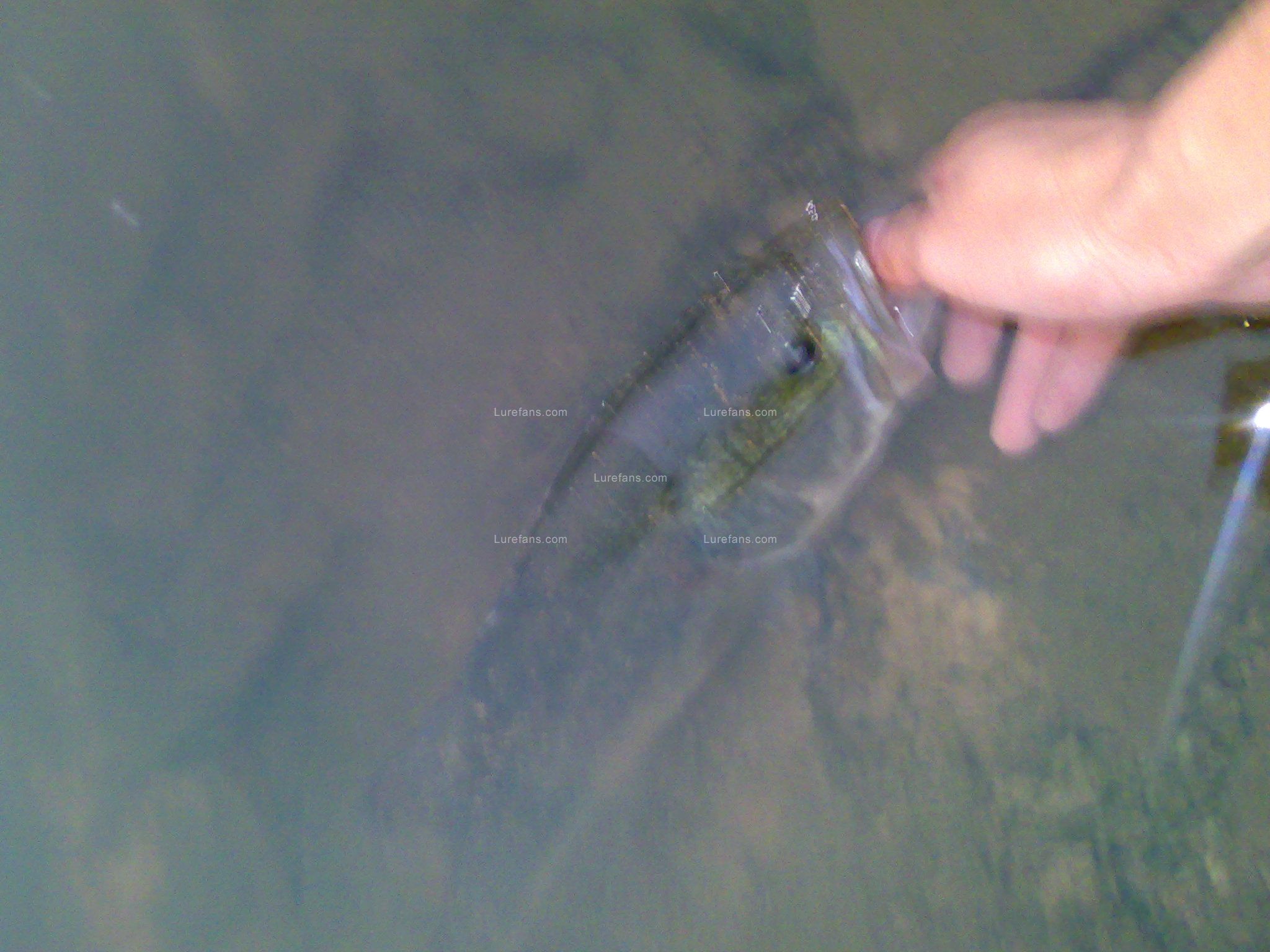 20091014038.jpg