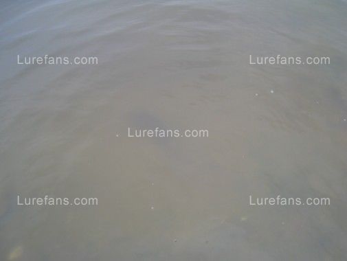 45EAD62E-87EC-423A-9502-FF06BA57C688.jpg