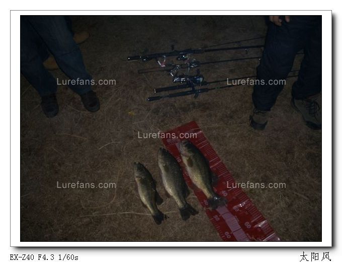 nEO_IMG_CC60 066.jpg