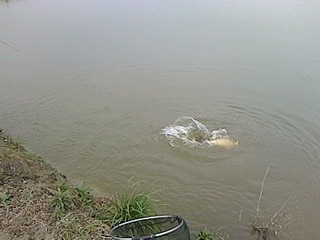 IMG1129145000.jpg
