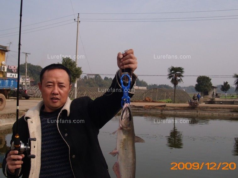 04.jpg