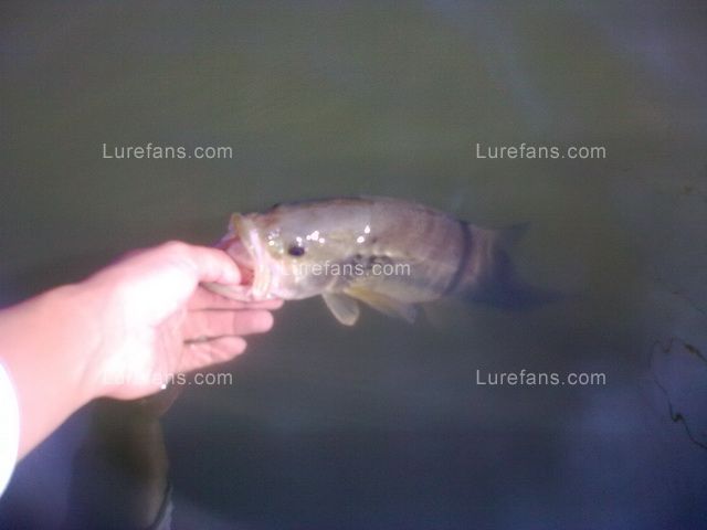 20091105_015.jpg